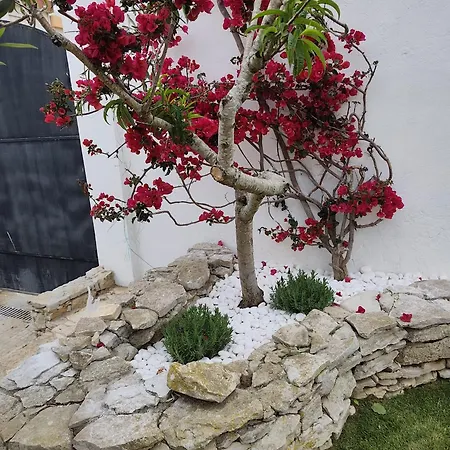 North Wind House Guest house Peniche